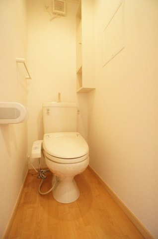 パレ・スレーヌＢのトイレ|落ち着いた色調のトイレです