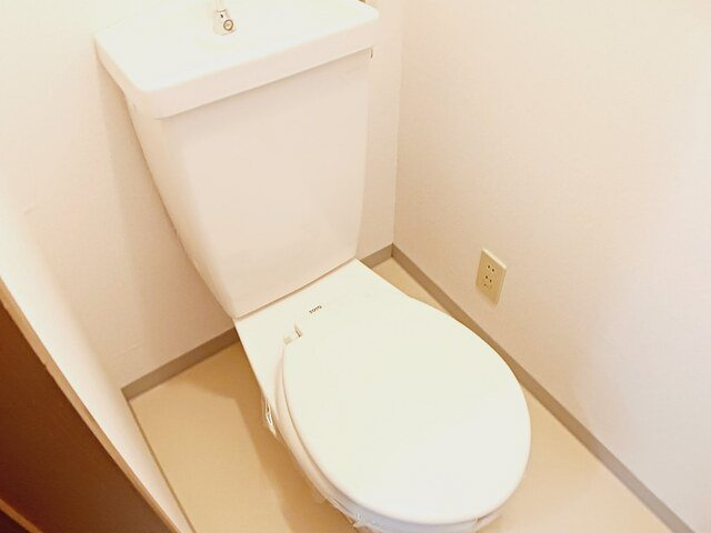 クレストール冨澤　壱番館のトイレ|落ち着いた色調のトイレです