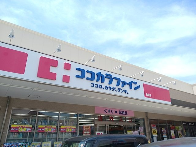 アビタシオンの周辺|ココカラファイン島泉店様まで1343m
