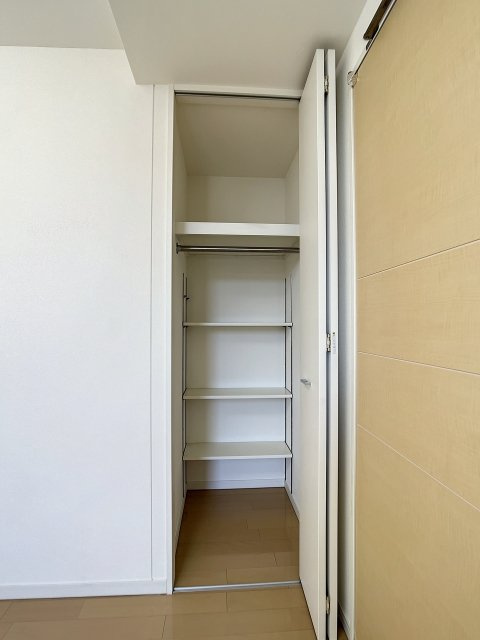 ザ・ハシモトタワーの収納|クローゼット