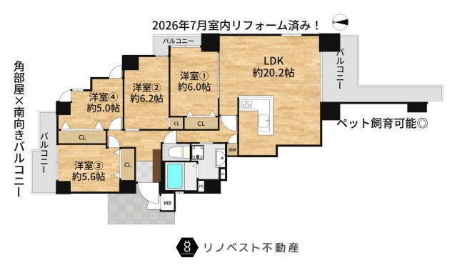 グランドメゾン小阪の間取り|2026年7月室内リフォーム完成！
南向き採光につき明るいリビングスペースです♪