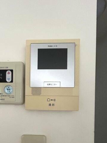 ジュンベリーのその他
