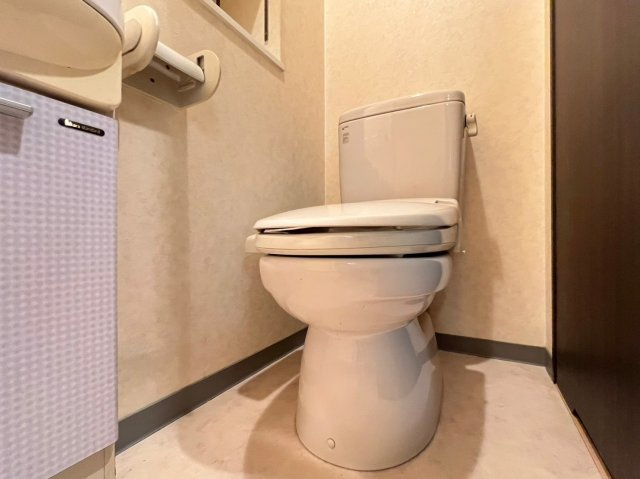 ディナスティ松屋町Ⅱのトイレ