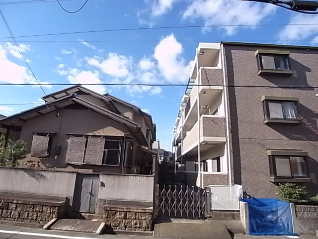 リタ　1st.の展望
