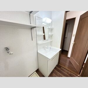 DUPLEX 瑞穂の洗面所