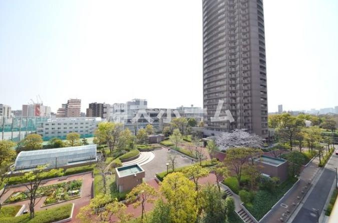 プロスペクト恩賜公園の展望