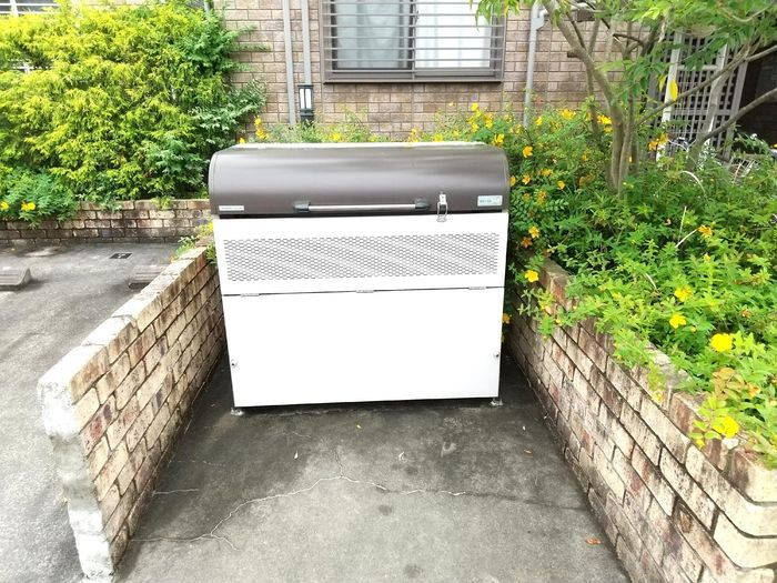 ヴィエント　Ａのその他