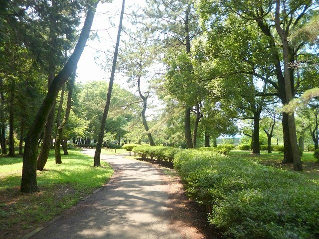 コントレイル成田西のその他|善福寺公園