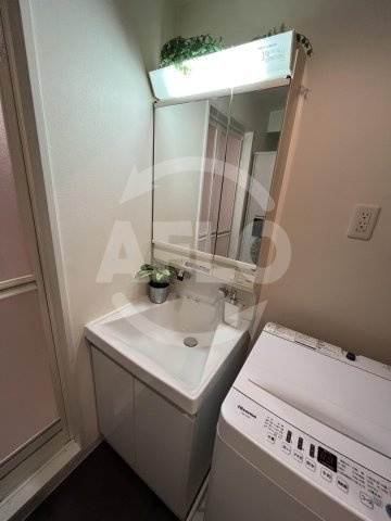 PARK Hills 北堀江 la moda(パークヒルズ北堀江ラモーダ)の洗面所|PARK Hills 北堀江 la moda(パークヒルズ北堀江ラモーダ)　