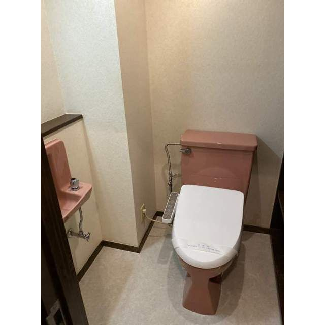 リバーサイド田園のトイレ