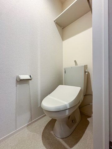 Ｓｕｎ　ｄｅｍｅｕｒｅ　Ｂのトイレ|落ち着いた色調のトイレです
