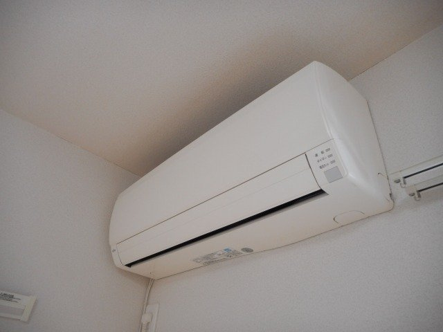 ブルック　フォンのその他