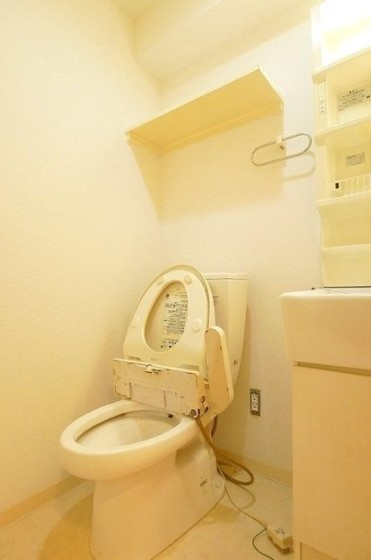 豊島区北大塚３丁目の賃貸マンションのトイレ