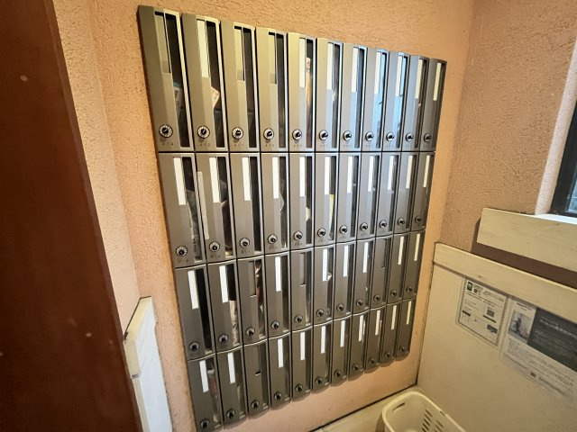 コートウィッシュのその他