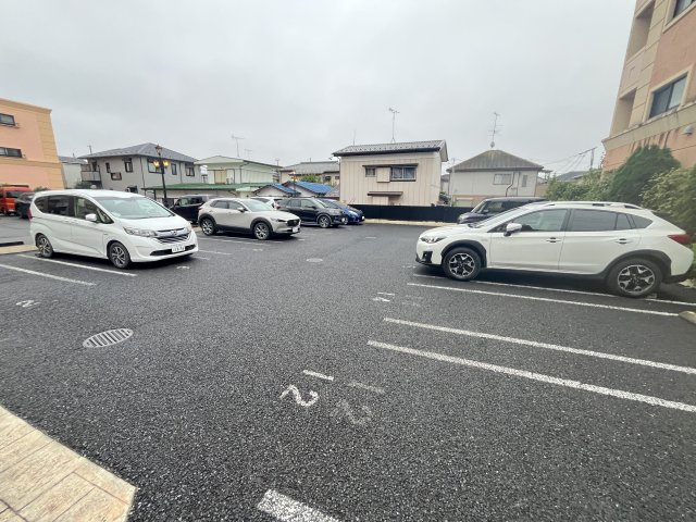 コートウィッシュのその他