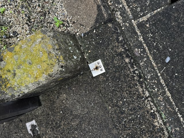 伏石町　土地の前面道路含む現地写真