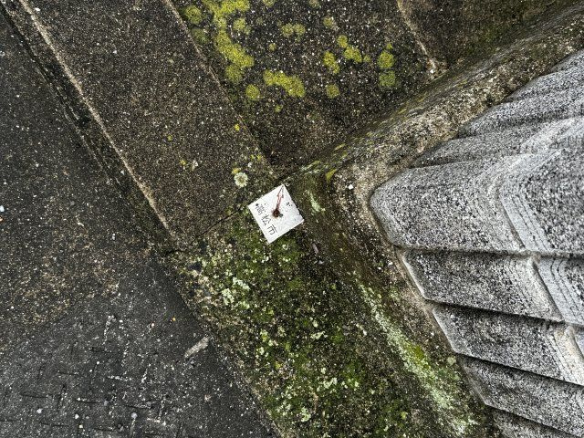 伏石町　土地の前面道路含む現地写真