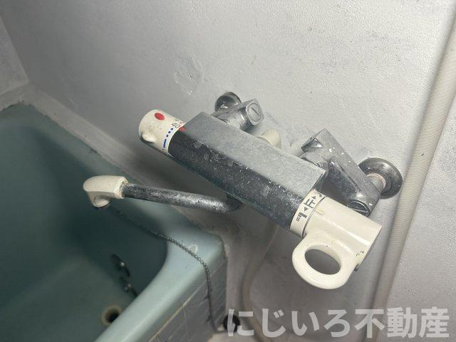 阿南アイビスのその他