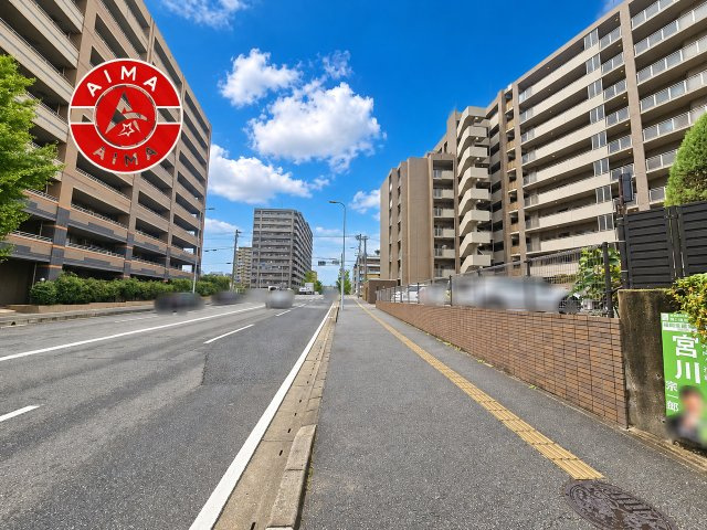 サーパス城南の現況写真|前面道路含む現地の写真です。