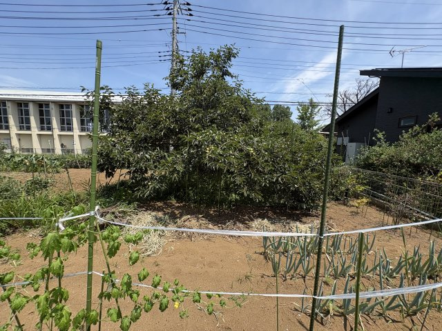 東松山市下唐子　土地32坪の外観