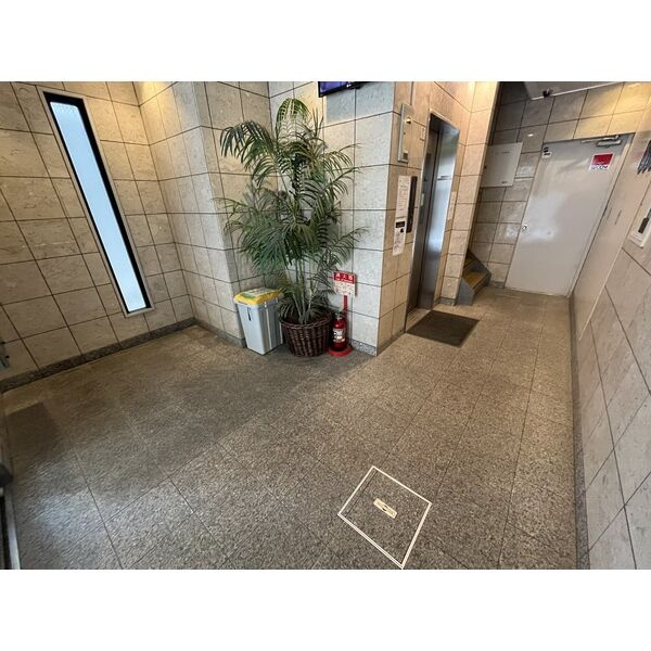 ヴィサージュIIのその他