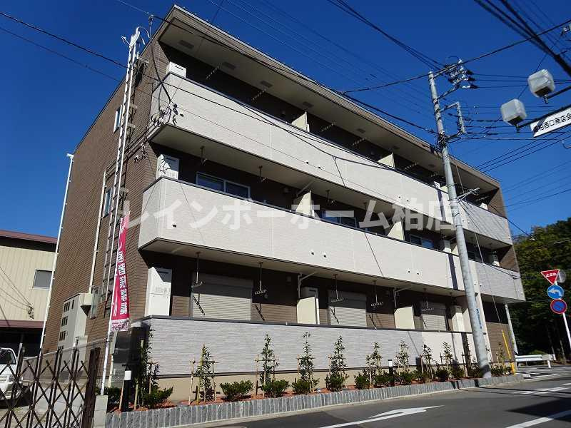 特典：仲介手数料が50％OFFです‼