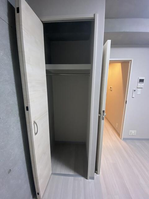ミレドゥーエ西小山の収納