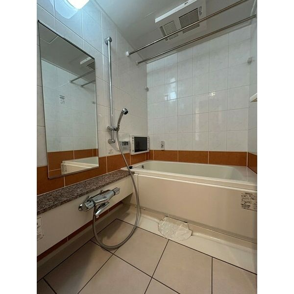 マスターズレジデンス道頓堀IIIの浴室