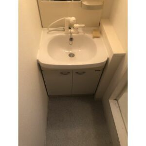 パラッツォ新町の洗面所