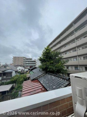 【展望】 | ISLAND　COLONY