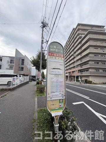 ハイツニュー多聞の周辺