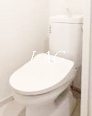 【トイレ】 | グリーンハイツ浅草 | トイレです。