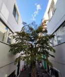 オリーブ笹塚Ａ棟のその他