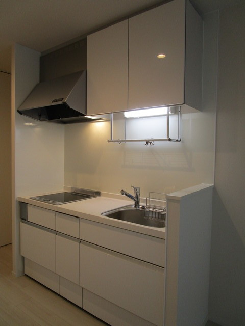 Ｈａｕｓ１３１９Ｎのキッチン|IH２口システムキッチン