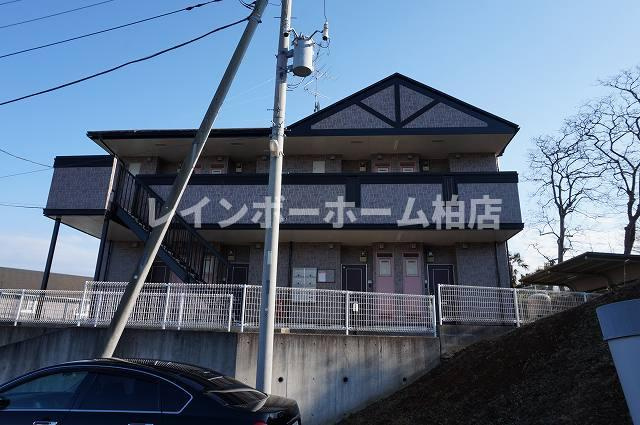 特典：仲介手数料が50％OFFです‼