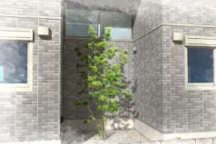 サンハイム伊興の展望