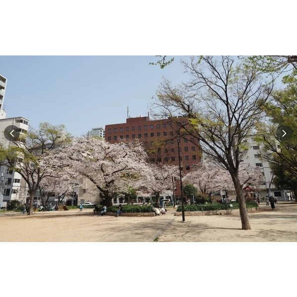 トラストマン堀江の周辺
