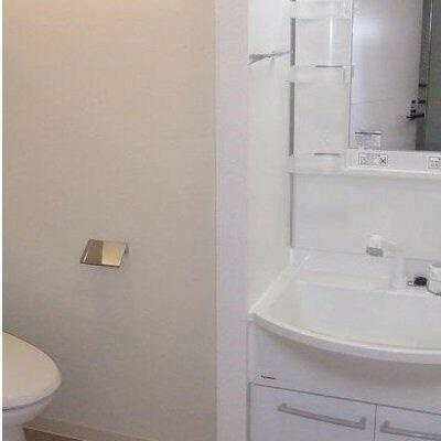 ブライズ亀戸の洗面所