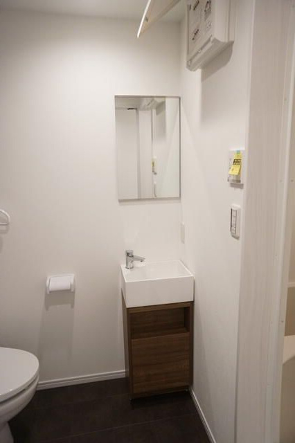Ｃａｓａ　Ｍｏｍａ矢野口Ⅰの独立洗面台