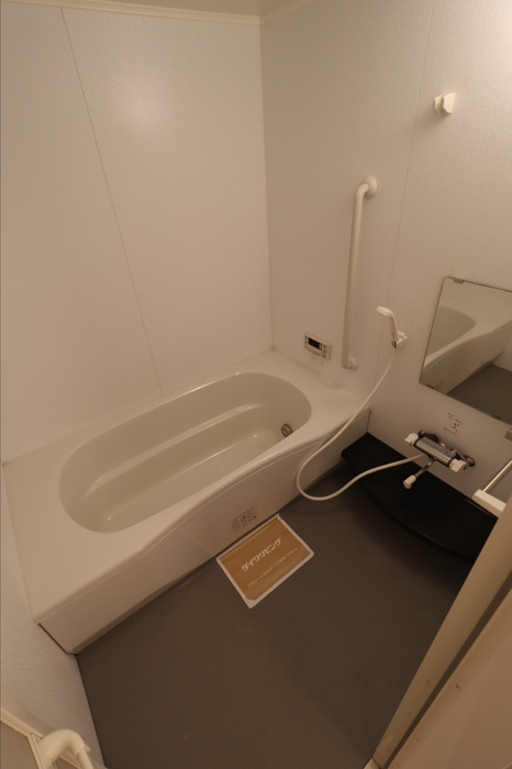 Welsh Villa II棟 IIの浴室