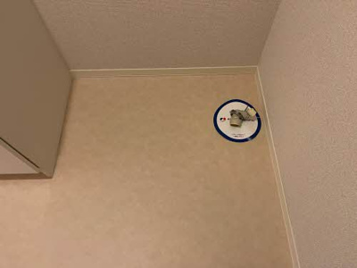 【その他】 | シャーメゾン陽明D棟