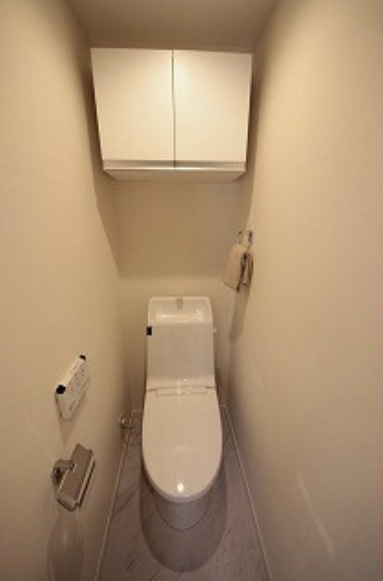 目黒区目黒本町５丁目の賃貸マンションのトイレ