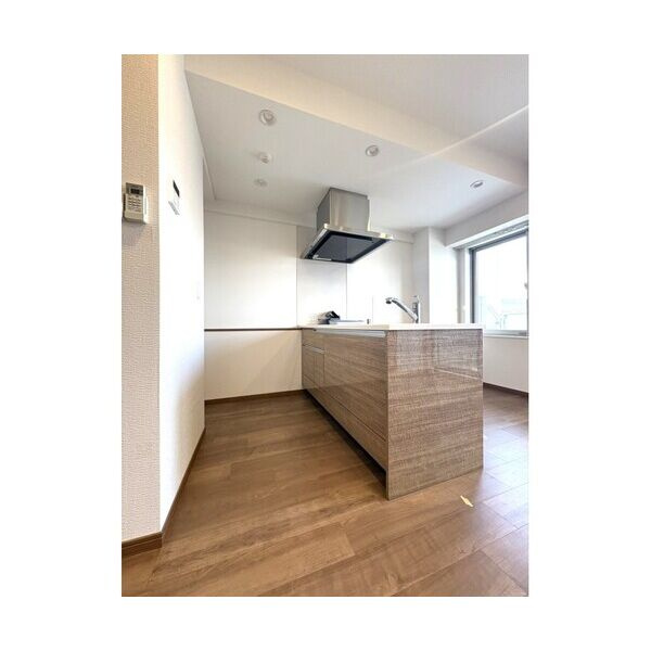 Ｍｏｎ　ｍａｉｓｏｎ　ＩＩのその他