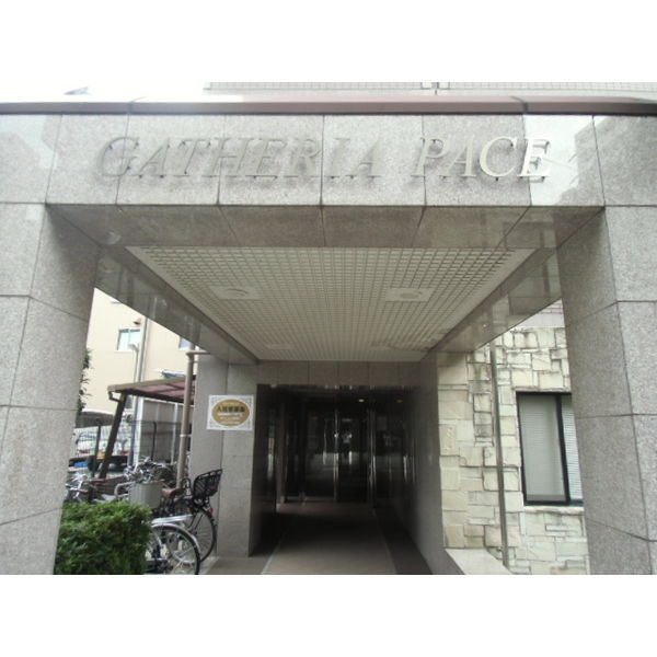 GATHERIA　PACEのその他