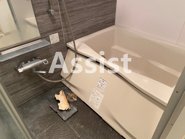 グランティアラ武蔵小山の浴室