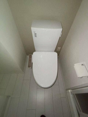 【トイレ】 | メゾンアッシュ大山 | シンプルで使いやすいトイレです
