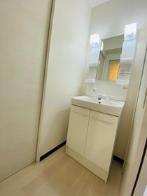 エステ浅草壱番館の独立洗面台