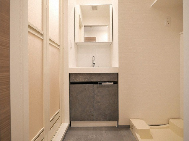 大阪市生野区新今里４丁目の賃貸マンションの独立洗面台