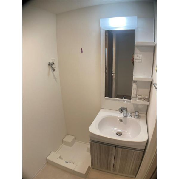 S-RESIDENCE福島玉川Deuxの洗面所