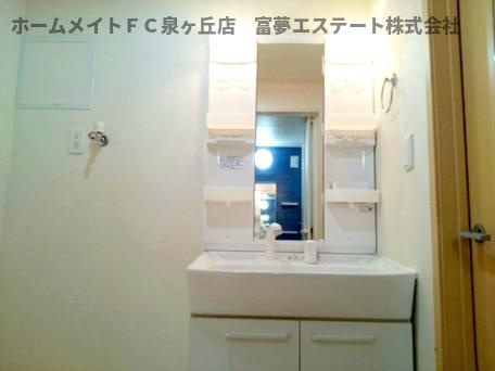 メヌエットⅡの洗面所|スペースが確保できる洗面所です